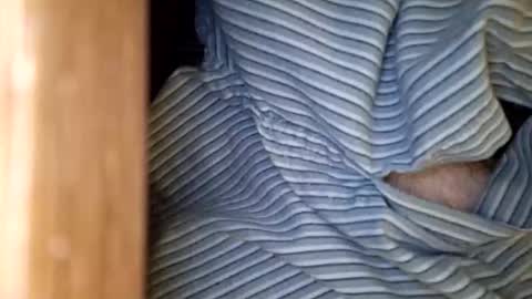 dVe1oPe online show from 15, 1, 2026