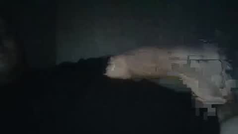 Snapshot of dxjbre chatting on 8, 1, 2026 dxjbre online show from 8, 1, 2026