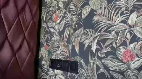 Dya online show from 27, 3, 2026