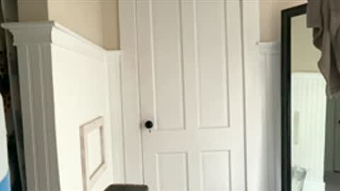 Snapshot of dynasty313 chatting on 17, 12, 2025 Dynasty online show from 17, 12, 2025