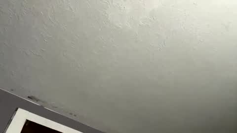 nastyboi801 online show from 27, 11, 2025