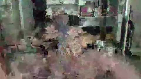 eagleye46 online show from 9, 12, 2024