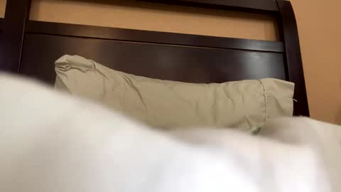 earl3232 online show from 14, 2, 2026