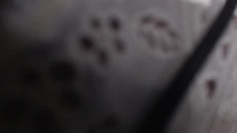 Snapshot of earthlypleasures chatting on 7, 7, 2026 shaina online show from 7, 7, 2026