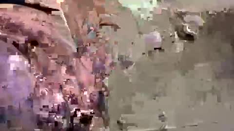 Snapshot of easye4015 chatting on 26, 1, 2025 Easye online show from 26, 1, 2025