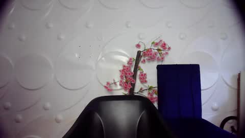 Snapshot of ebonykissxx chatting on 26, 6, 2026 ebonykissxx online show from 26, 6, 2026