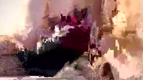 AliceTurner online show from 17, 3, 2026