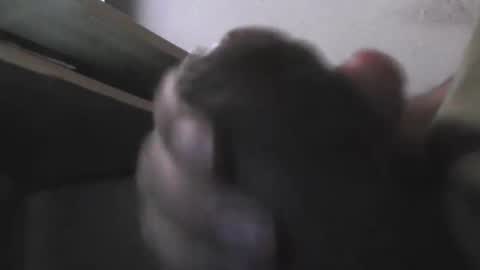 EddiesCock69 online show from 5, 11, 2025