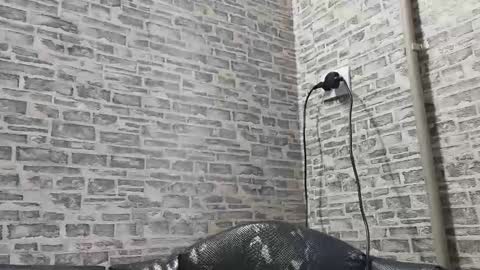 edithmanning online show from 10, 2, 2025