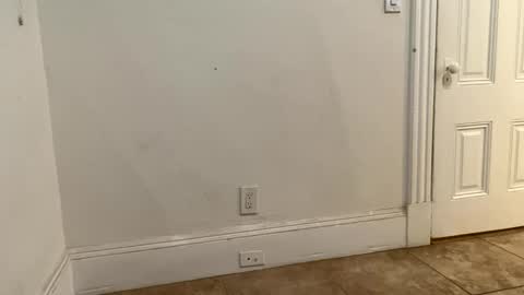 edvmendez1766 online show from 18, 11, 2025