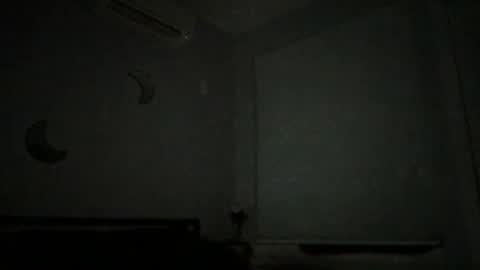 Snapshot of eerriicc2022 chatting on 16, 12, 2024 eerriicc2022 online show from 16, 12, 2024