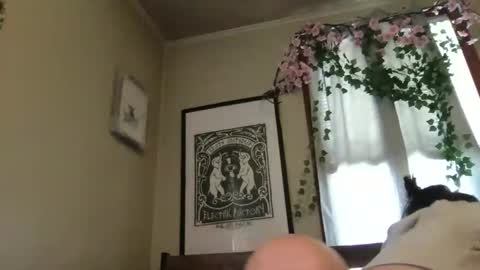 eggnog_and_booty online show from 12, 5, 2026