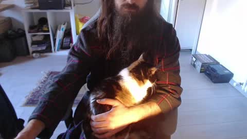 eighthundredeightyeight online show from 12, 1, 2026