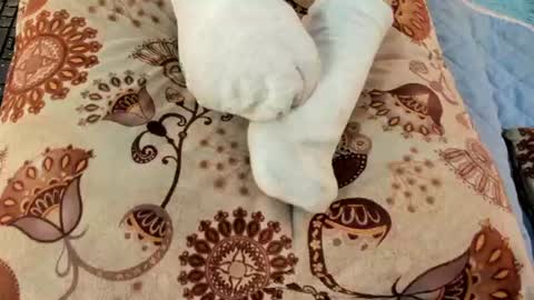 Snapshot of eilin_clio chatting on 26, 7, 2026 Eilin online show from 26, 7, 2026