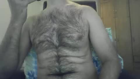 Elastik6 online show from 3, 12, 2024