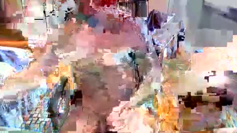 elbasca online show from 18, 2, 2026