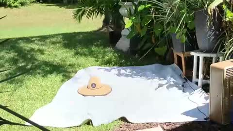 Snapshot of eliberator chatting on 21, 9, 2025 eliberator online show from 21, 9, 2025