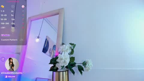 Snapshot of eliizabeth_roberts chatting on 8, 3, 2025 E L I I Z A B E T H online show from 8, 3, 2025