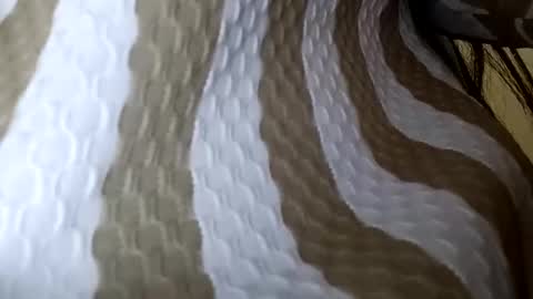 elina_roy03 online show from 1, 12, 2025