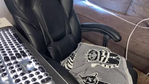 Elisa North online show from 9, 3, 2025