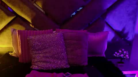 elit noa online show from 13, 2, 2026