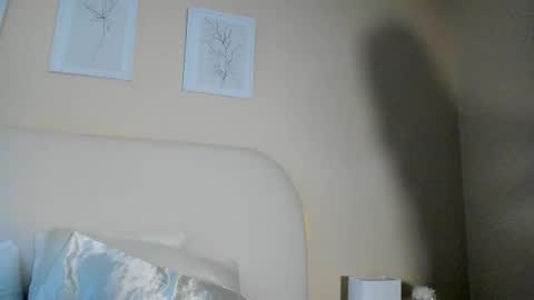 My name is ElizaPVT is open online show from 2, 12, 2025