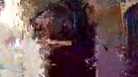 Snapshot of elizabit chatting on 5, 4, 2026 elizabit online show from 5, 4, 2026