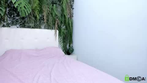 Eliza online show from 7, 11, 2025