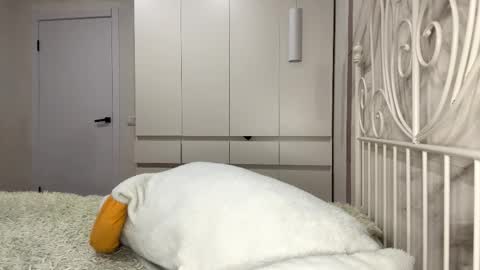 Rosa online show from 6, 1, 2026