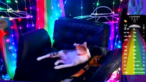 Ellie online show from 18, 6, 2026