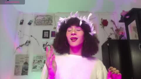  . online show from 26, 11, 2025