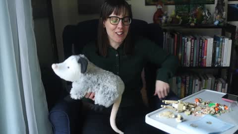 Elly Naomi online show from 31, 1, 2025