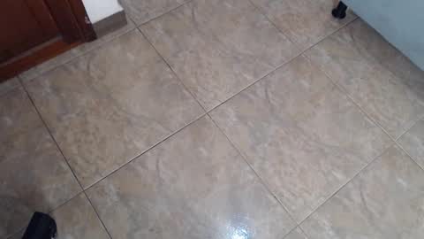 EloiseQuinn online show from 26, 12, 2024