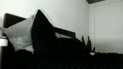 elputoquetegusta online show from 3, 12, 2025