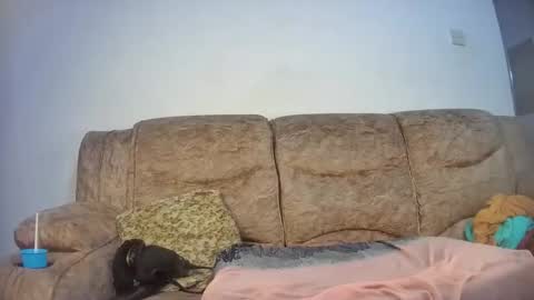 Snapshot of elsie02 chatting on 18, 11, 2025 elsie02 online show from 18, 11, 2025