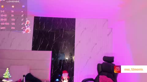 Snapshot of elsiemorriis chatting on 24, 12, 2024 ELSIE online show from 24, 12, 2024