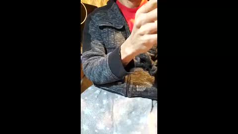 elvergg1 online show from 19, 1, 2026