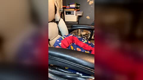 elvergg1 online show from 4, 4, 2026