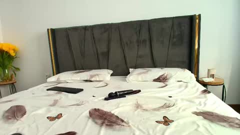 Ely online show from 19, 2, 2025