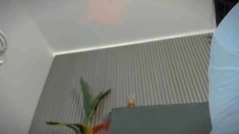 emelie_89 online show from 15, 7, 2026