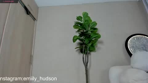 independet model online show from 30, 6, 2026