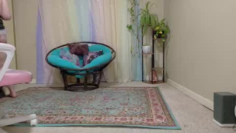 Snapshot of emilyshaze chatting on 24, 10, 2025 emily haze online show from 24, 10, 2025