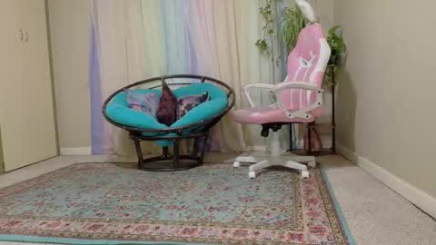 Snapshot of emilyshaze chatting on 8, 11, 2025 emily haze online show from 8, 11, 2025