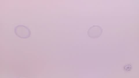 Emily Bank online show from 29, 3, 2026