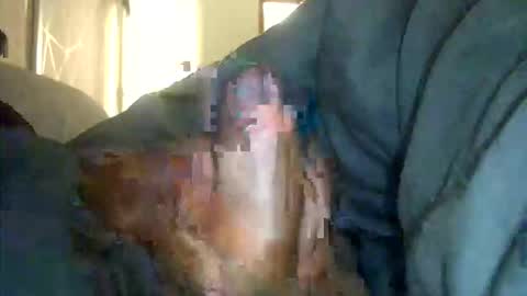 encormoi online show from 27, 3, 2026