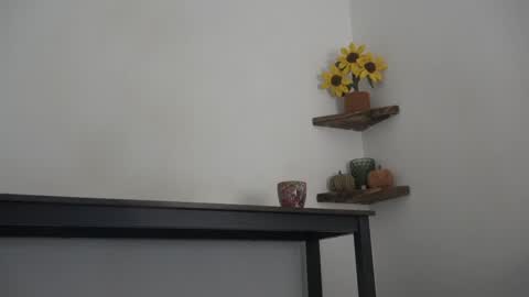 Snapshot of english_rose__ chatting on 11, 10, 2025 Rosie online show from 11, 10, 2025