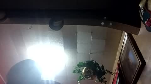 Snapshot of erik15516 chatting on 1, 7, 2026 erik15516 online show from 1, 7, 2026