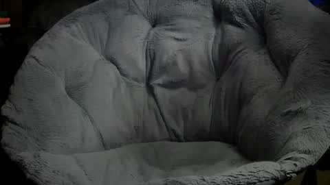 Snapshot of erik_plays_hockey chatting on 11, 11, 2025 Erik plays hockey online show from 11, 11, 2025