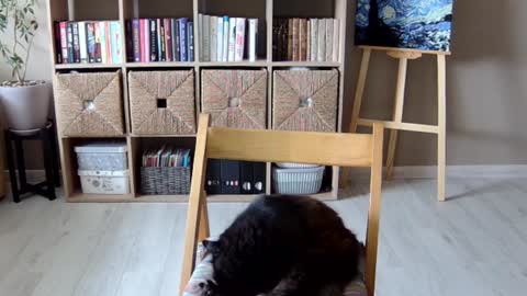 Snapshot of erotic_vibe chatting on 1, 10, 2025 Melissa online show from 1, 10, 2025