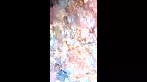 esteralcantara online show from 9, 2, 2026